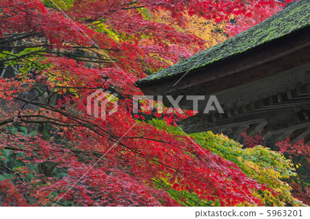 Yokono Yokonoji寺門 Yokono Yokonoji寺門 5963201