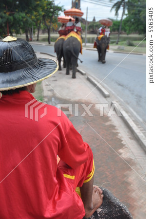 大城府騎大象 5963405