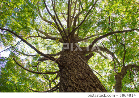 生命的根源 5964914