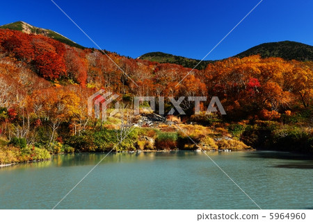 秋葉jelluma 秋葉jelluma 5964960