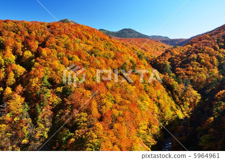 Shiogakura Valley Shiogakura Valley 5964961