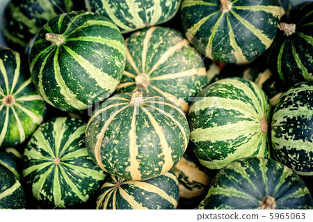 green pumpkins 5965063