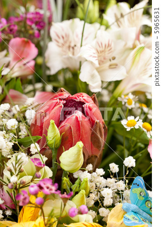 flowers flowers 5965631