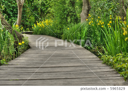 Footbridge in Krka National Park, Croatia 5965829