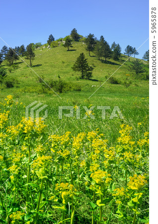 Mountain landscape in Lika , Croatia Mountain landscape in Lika , Croatia 5965878