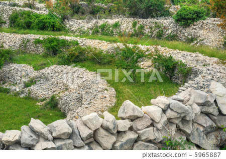 Sheep pasture, Rudine, Krk island, Croatia Sheep pasture, Rudine, Krk island, Croatia 5965887