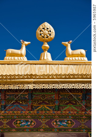 Tibetan Monastery Gates. India, Thiksey Gompa 5965987
