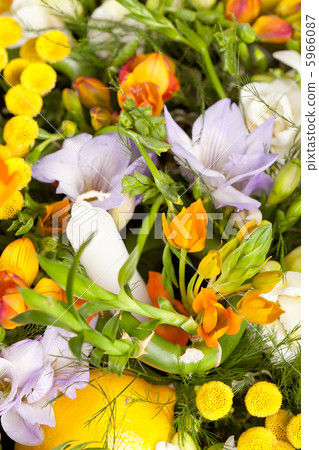 flowers flowers 5966087