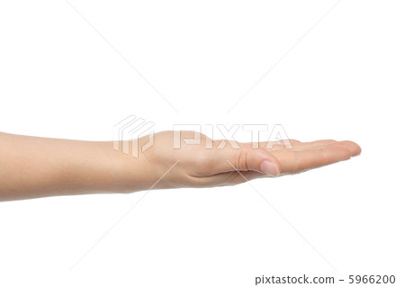Open woman hand on white background Open woman hand on white background 5966200