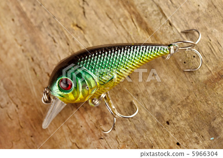 lure 5966304