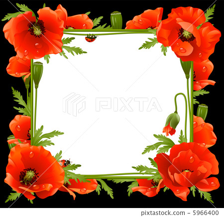 Poppy Floral Frame Poppy Floral Frame 5966400