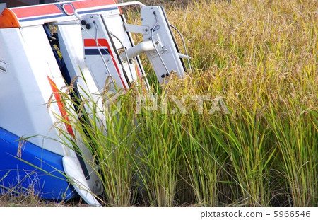 Rice reaping machine 5966546