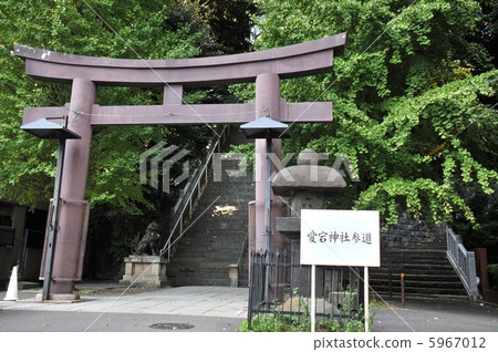 Atago Shrine Otorii 5967012