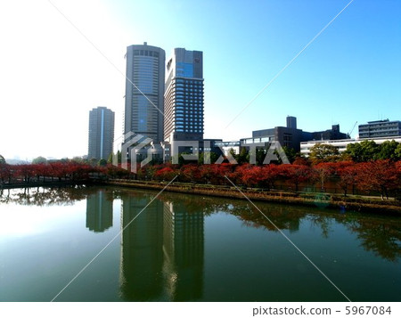 From autumn OAP Sakonomiya source Yahashi 5967084