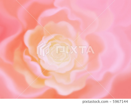 浪漫玫瑰 浪漫玫瑰 5967144