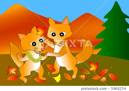 A fox pair 5968254