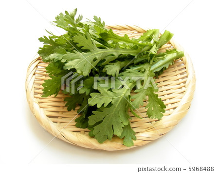 Shanda Shanda 5968488