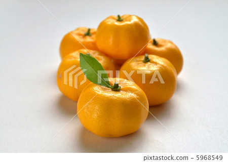 Fukutama mandarin 5968549