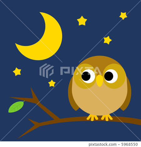 An owl stopping in a tree 5968550