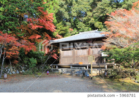 The autumn leaves of Kaohsiung Shinkoji temple (Kaido-ji) in Kyoto-ku, Kyoto-shi 5968781