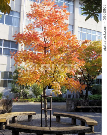 A sky of a schoolyard that shines on the morning sun 5968905