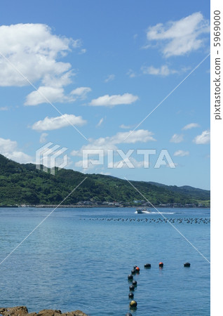 天草在夏天 5969000