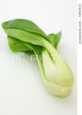Bok-choy 5969915