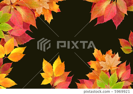 autumn leaves 5969921