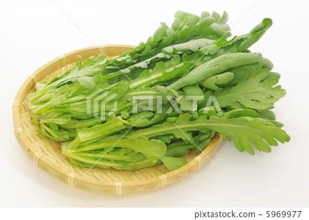 食用菊花 食用菊花 5969977