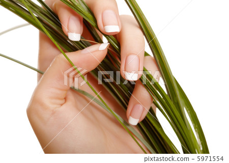 French manicure French manicure 5971554