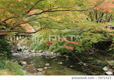 Clear stream 5972425