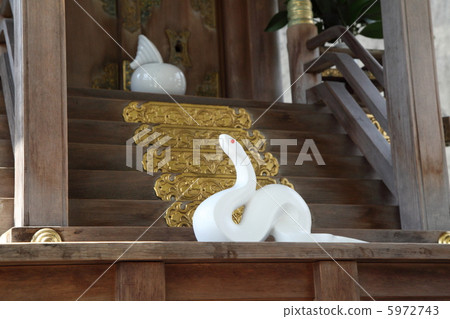 白蛇神社在岩國 5972743