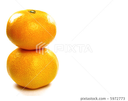 橘子 5972773