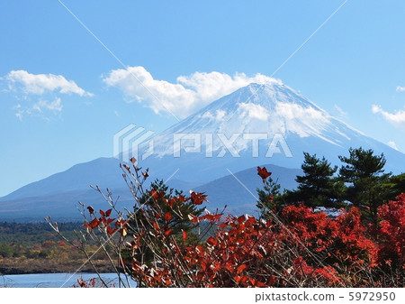 富士山 富士山 5972950