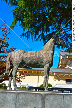 Yasukuni Shrine's "Battle of the Battle Horses" (Kurobe-north, Chiyoda Ward, Tokyo) 5973635