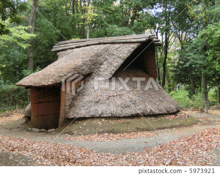 Paving stone dwelling (horizontal) 5973921