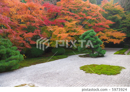 Tengui-an在秋天 5973924