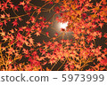 Autumn leaves of Kiyomizudera 5973999