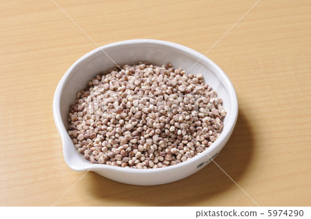 小米飯（高） 5974290