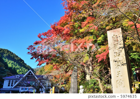 Takao Yakuin 5974635