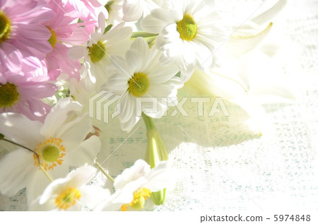 菊花花束 5974848