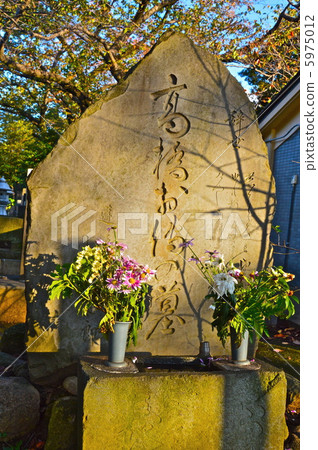 Takahashi Otodo墓（Yanaka Cemetery / 7-chome Yanaka，Taito-ku，Tokyo） 5975012