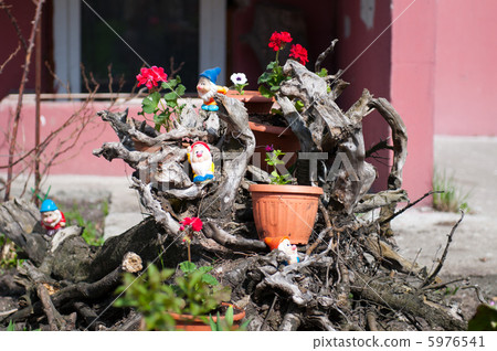 Red flower Red flower 5976541