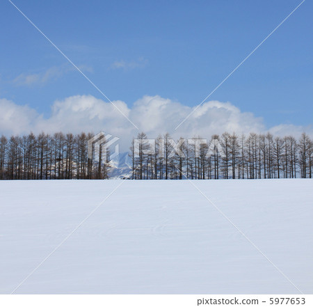 Snowscape · Naka Shibetsu 5977653