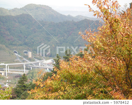 Autumn leaves Mt. Takao 5978412