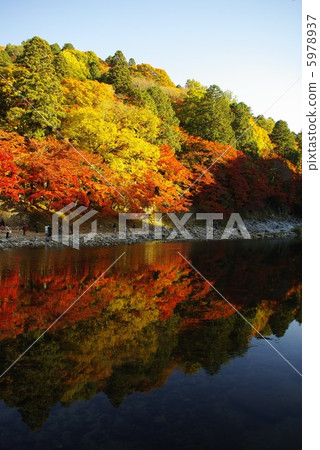 秋天的香味 5978937