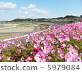 Autumn Circuit 5979084