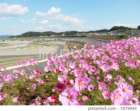 Autumn Circuit 5979084