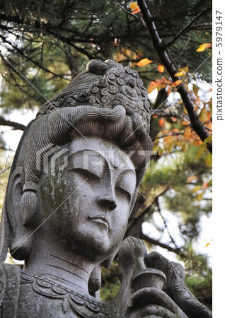 Zojoji Shrine Kansei Bodhisattva 5979147