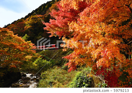 鐵路Eizan電鐵輓歌秋葉秋天900系列紅色Kirara Kimiguchi入口 5979213